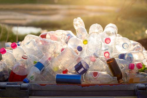 plastic bottles in bin