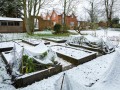 Snow in a vegetable garden